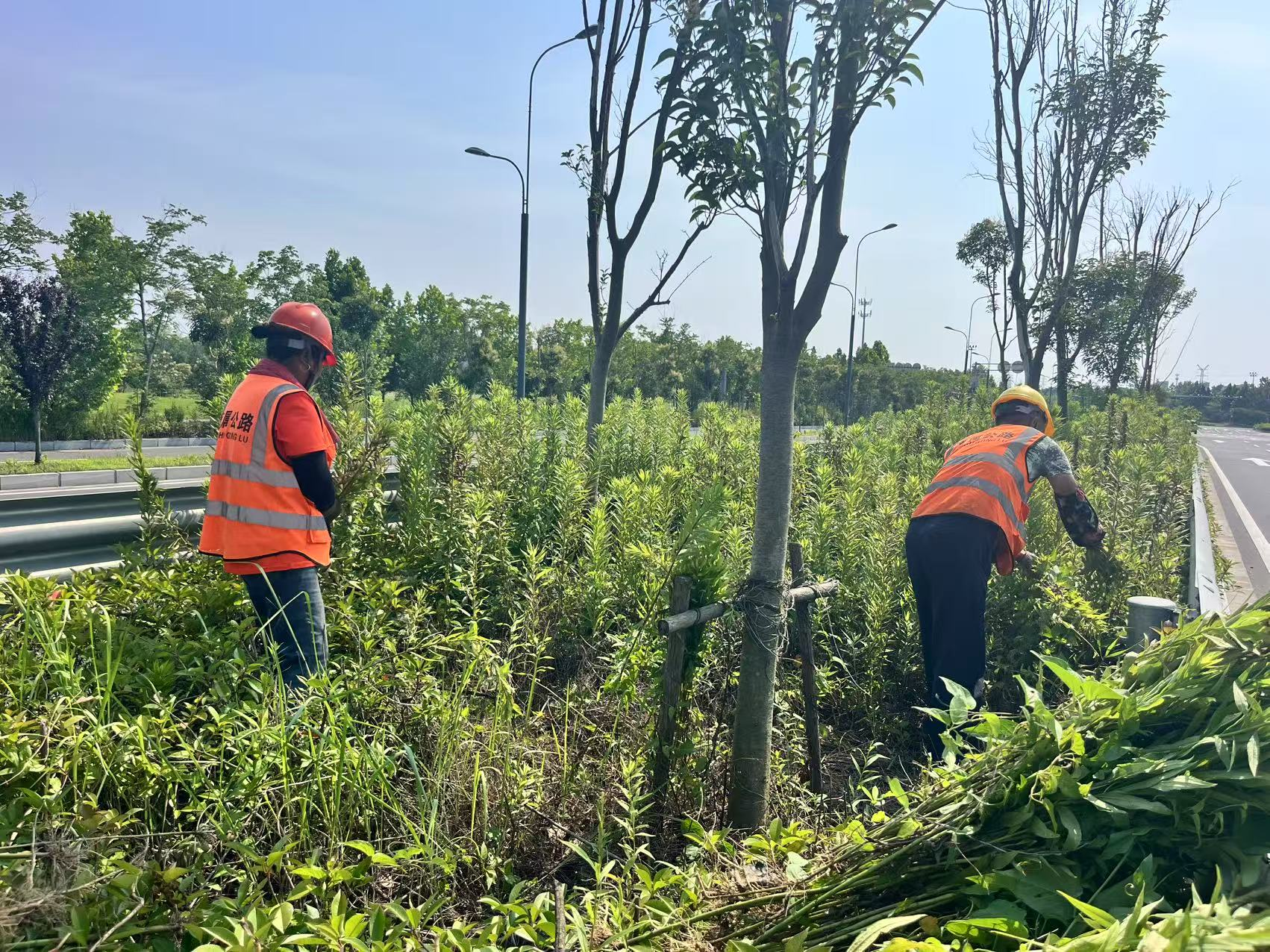 图片4.png 图片4.png